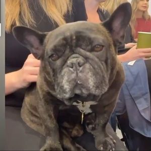 Meet your Posher, Janine